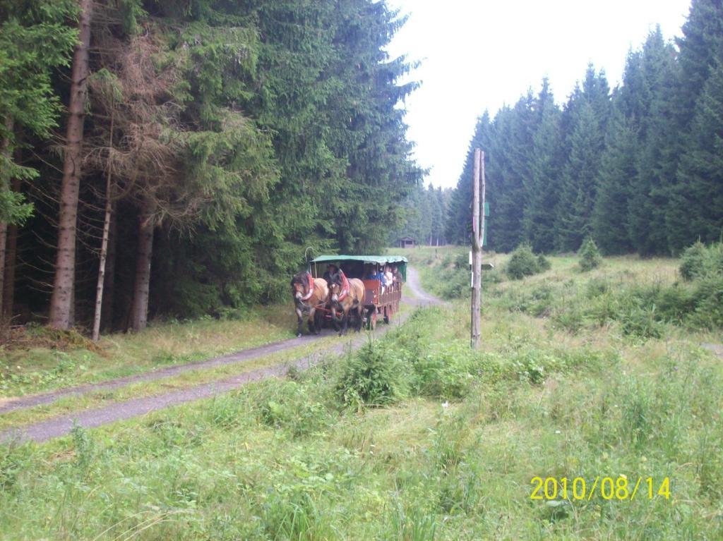 Hotel Burghof Oberweißbach Quarto foto